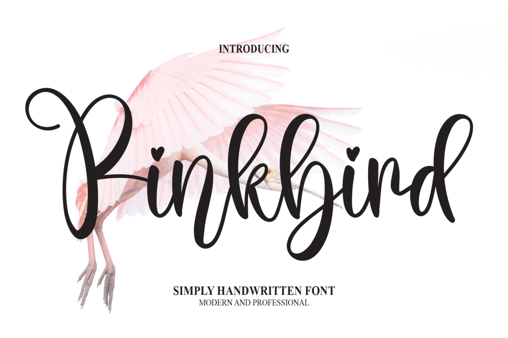 Pinkbird Font Download Free Resource