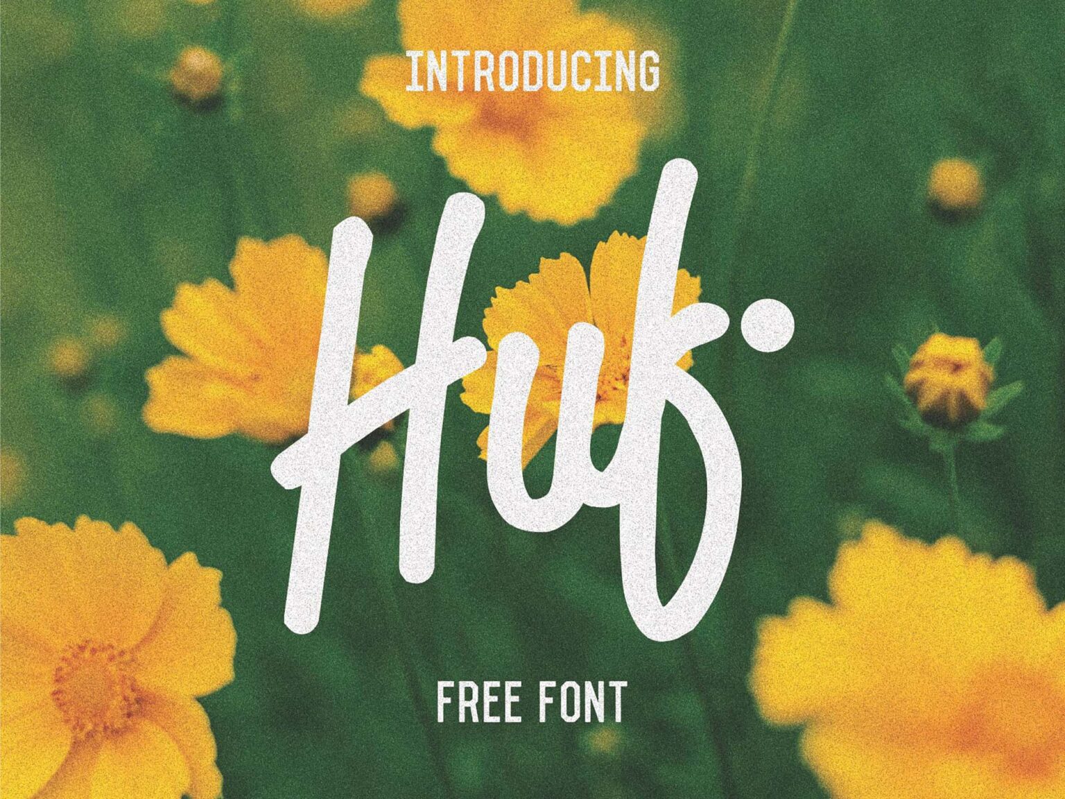 Huf script font download free resource
